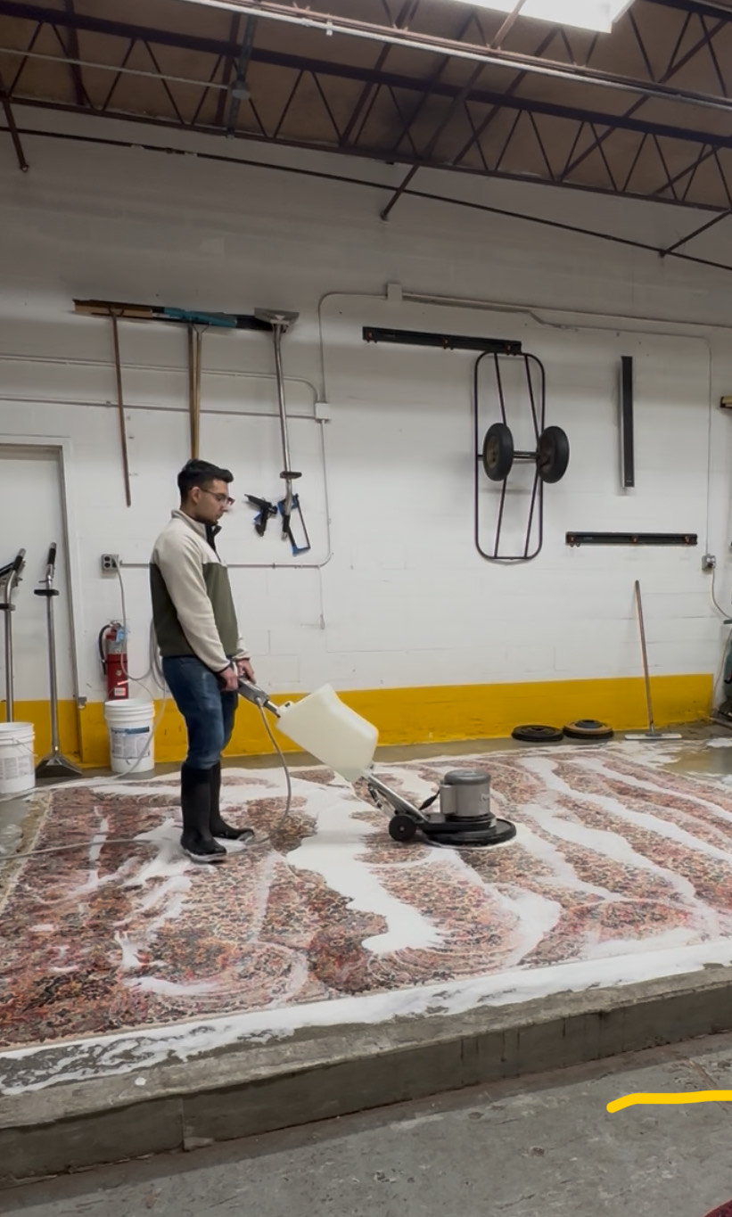 Close-up of cleaned area rug